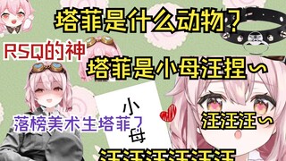 塔菲是小母狗？ 汪汪汪 主播是什么动物？