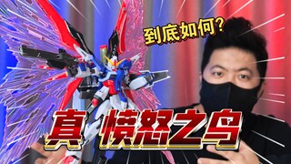 「白测577」这？真 愤怒之鸟 铁骨 命运 高达 1:144