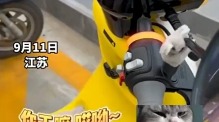 Bring Your Electric Car to Court!