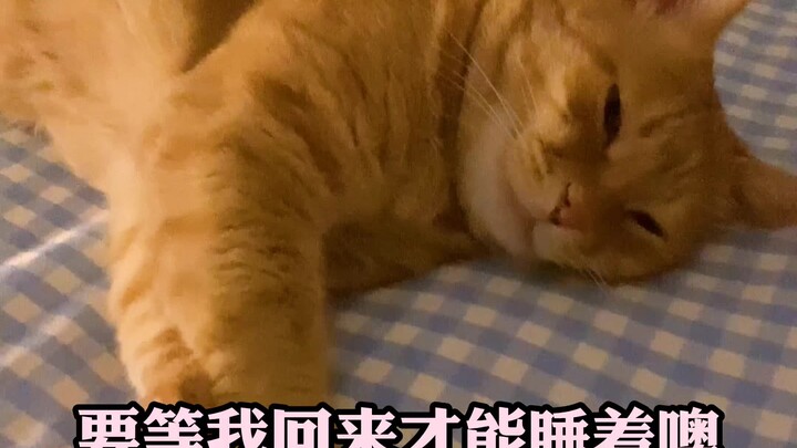 和不苦有爱的日常