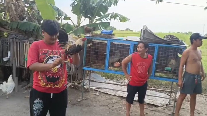 namalas kasi sobrang lamang niyo hahaha bantam lang 2x