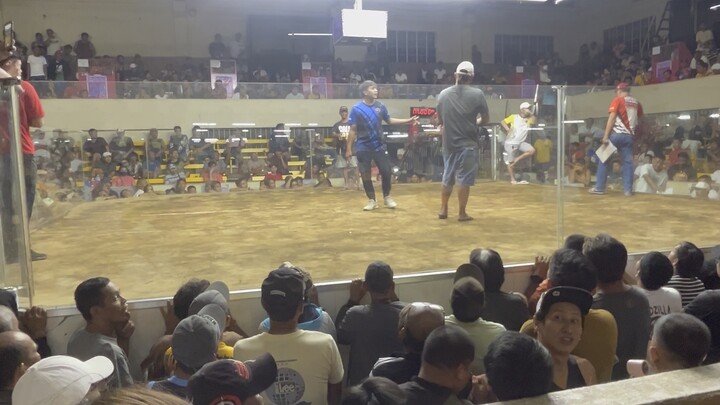 Korona, parang nag-practice lang 😅 Hindi pinag-pawisan. Unscratched 🐓👌