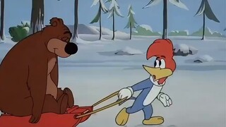 Woody và chú gấu ngủ đông