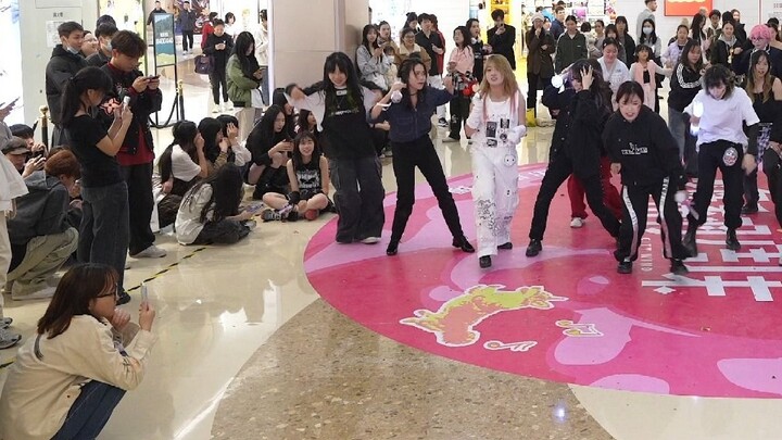 พิเศษเปิดตัวสนับสนุน PLAVE! [ร้องและเต้น] เต้นสุ่ม KPOP ที่กวางโจว