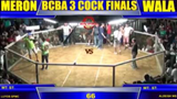 BCBA 3 Cock finals - my favorite Grey Broodcock (the father of many winners)