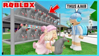 Aku Dan Adiku Terpaksa Harus Menjual Ribuan Tikus Di Roblox Brookhaven ft @Shasyaalala