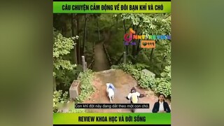 câu chuyện cảm động của chú chó và khỉ P2 reviewphim mereviewphim vulaci nntreview2