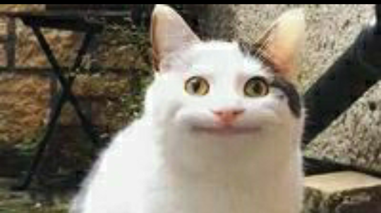 DON'T WATCH VIDEO(ĐỪNG COI VIDEO NÀY)