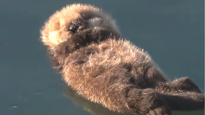 Anak yang punya ibu itu seperti harta karun～