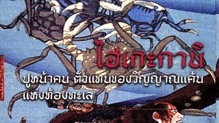 ไฮเกะกานิ ปูหน้าคน ตัวแทนของวิญญาณแค้นแห่งท้องทะเลญี่ปุ่น