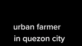 urban farmer in quezon city
