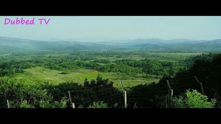 north korean vs south korean