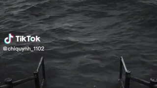 funny short video