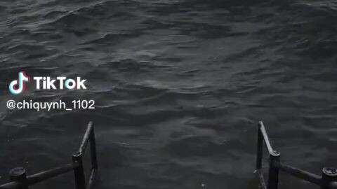 funny short video