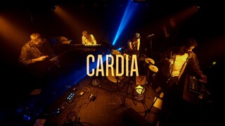 the BIG TUSK - Cardia