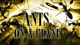 Ants on a Plane - Full Movie