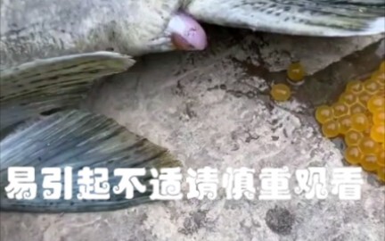 【Phi a phi ba】 Video đang tải, nhanh tay nhận quà bất ngờ!