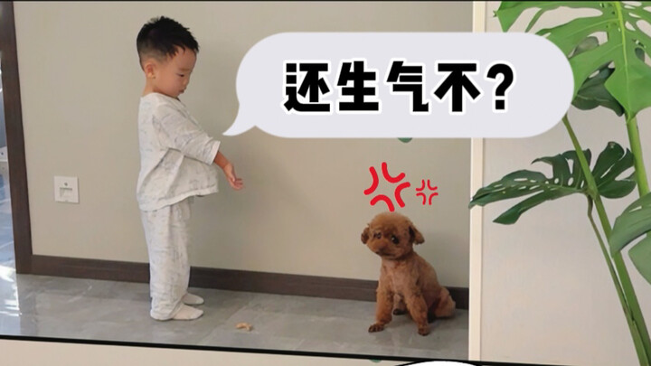 Chú cún tự mình làm mình giận, lại tự mình dỗ dành!