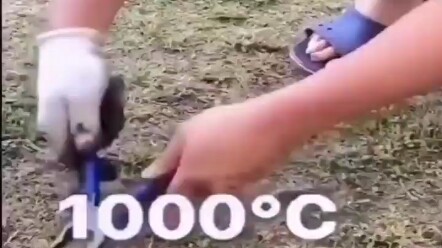 Can you really let them get away with this?