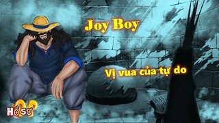 Sự thật về Joy Boy - Vị vua thật sự của tự do