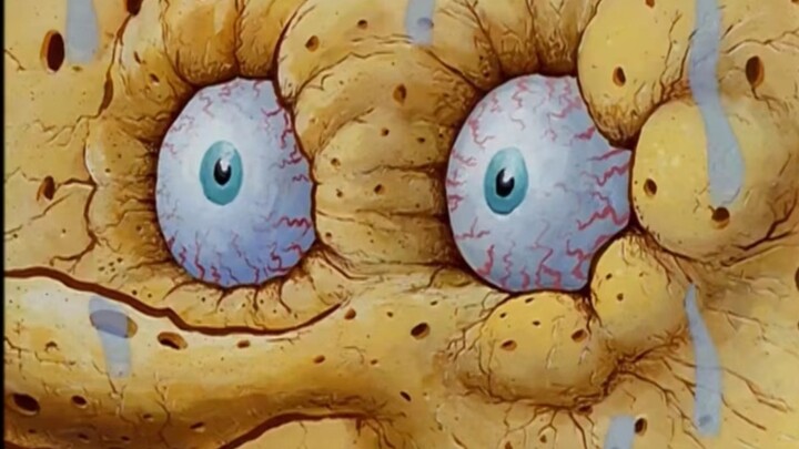 All the features from SpongeBob SquarePants Season 1