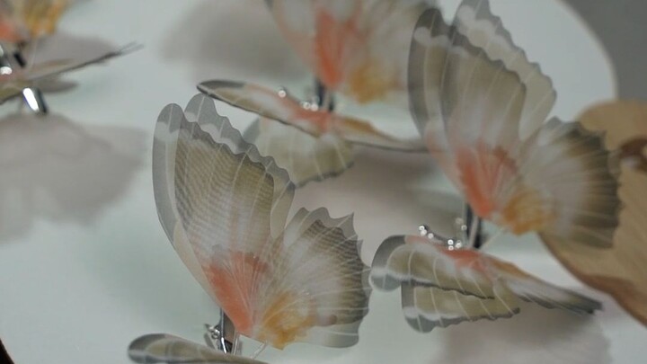 10 Carrots Can Get You Two Big Fluttering Butterflies