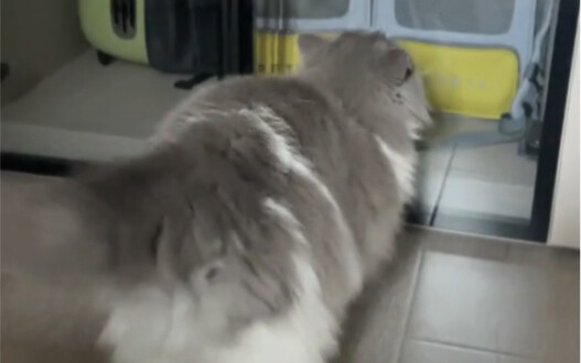 Về nhà bà ngoại lau kính đây!