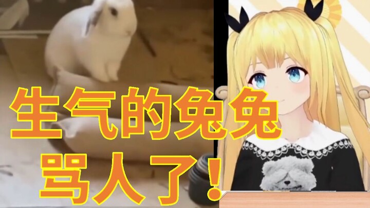 虚拟声优看《 骂 人 的 兔 兔 增 加 了 》