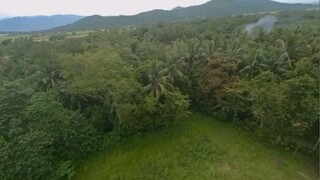 這社會，莫怪人心易變，真心沒有錢值錢，原來感情只和錢才有緣！
