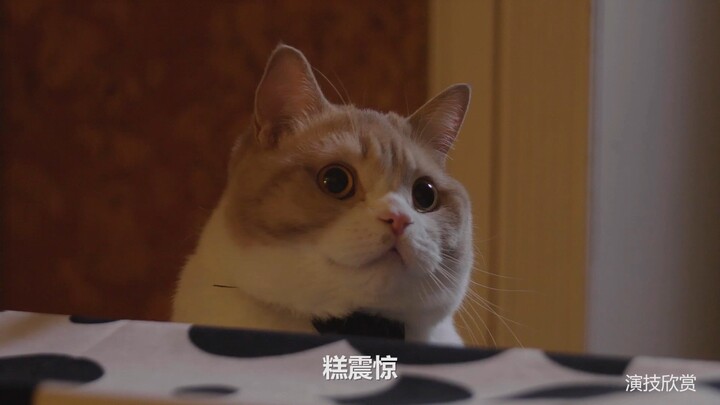 糕冒泡儿.....