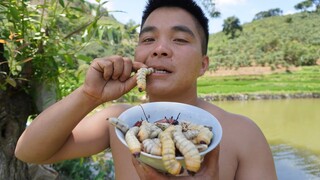 ẤU TRÙNG XÉN TÓC