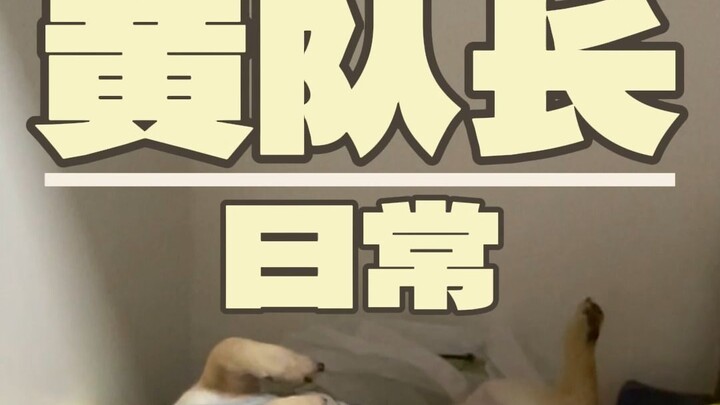 The security captain pulled another stunt today—but the ending had me in tears.