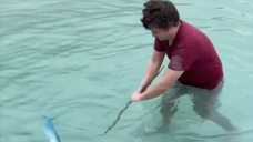 🎬 第2集｜我终于有鱼吃了！接下来造个窝！