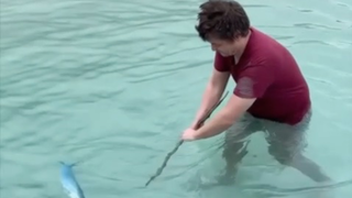 🎬 第2集｜我终于有鱼吃了！接下来造个窝！