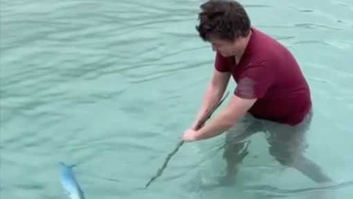 🎬 第2集｜我终于有鱼吃了！接下来造个窝！