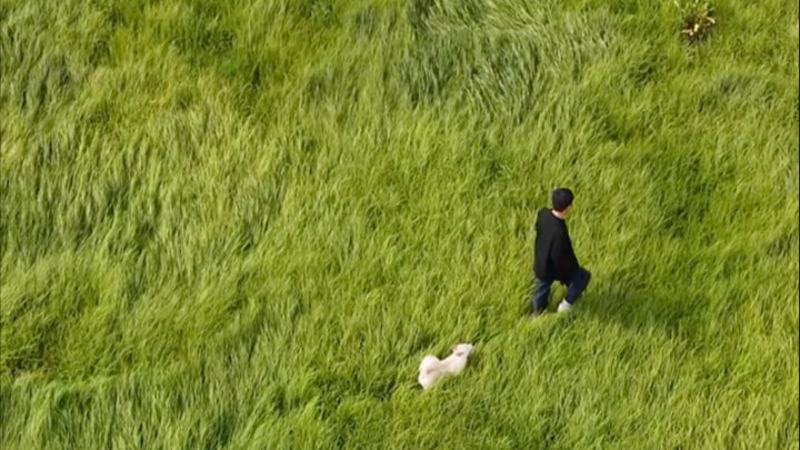 Poyang Lake Has Dried Up!