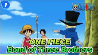ONE PIECE
Bond of Three Brothers_1