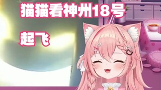 【Hiiro】猫猫看神舟十八号