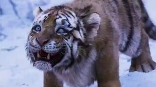 万物皆有灵你救我一命，我救你儿子一命