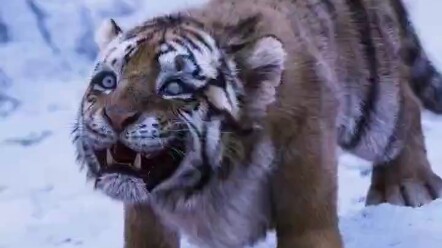 万物皆有灵你救我一命，我救你儿子一命