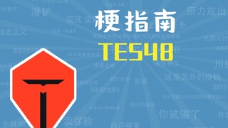 What is TES48? [Meme Guide]
