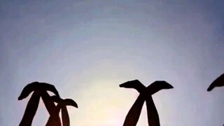 Interesting shadow dance for the lovely you