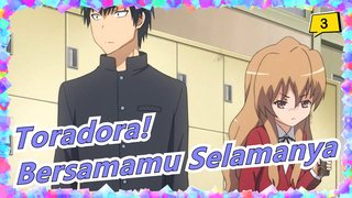 Toradora! | Kau Adalah Harimau & Aku Mau Jadi Naga Untuk Selalu Disamping Harimau Selamanya_3