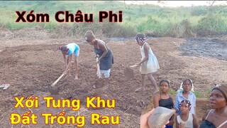 Bất ngờ với sức khai hoang làm nông nghiệp của xóm trọ||Nông Nghiệp Angola||Ahihi cuộc sống châu phi