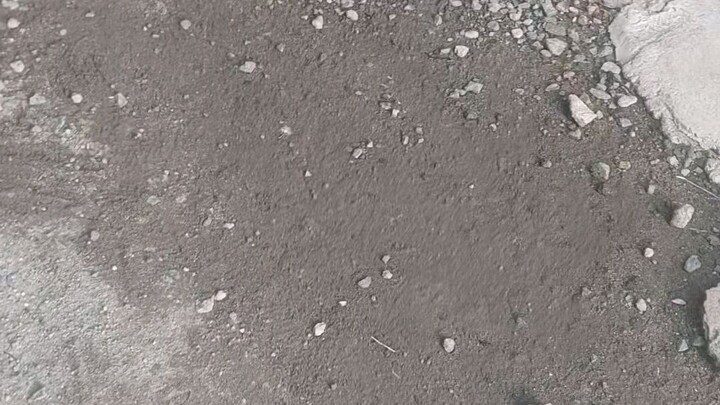 Cobra Melsim Black                           vs                                 Binabae na Hiraw
