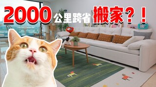 การย้ายบ้าน 2,000 กิโลเมตรพร้อมแมว 5 ตัวเป็นอย่างไรบ้าง?