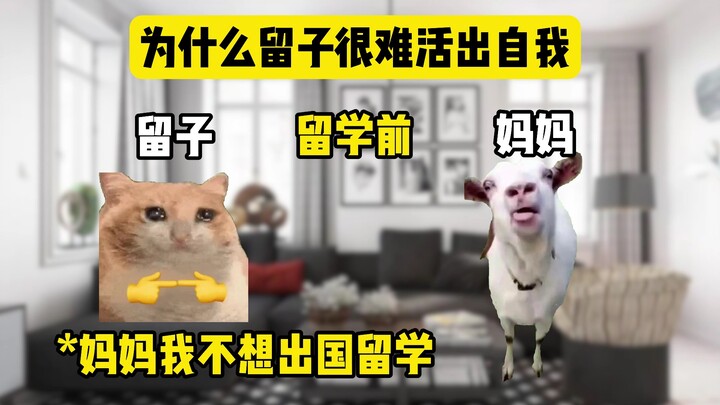 Why is it so hard for “liuzi” to live authentically? Because they all have Chinese parents! belike