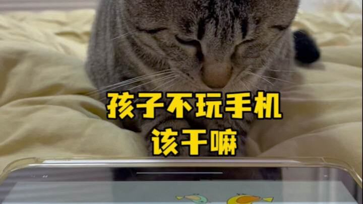 Ba con ơi, chơi đi chơi đi! Là lỗi của mẹ, mẹ nên dành nhiều thời gian chơi đùa với các con hơn. Đốp