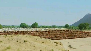 Jodhaaaaaa Akbarrrrrr