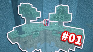 当你被困在一堆基岩空岛中...你该如何生存？#01